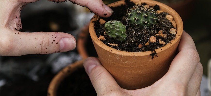 FacharbeiterIn Gartenbau